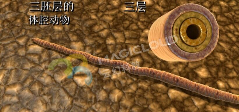 QQ截圖20180329160259.jpg