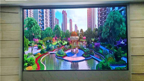 廣東省深圳市育才三小_副本.jpg