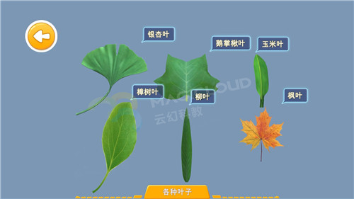 5_副本.jpg