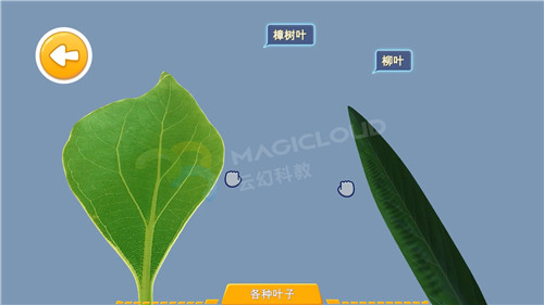 7_副本.jpg