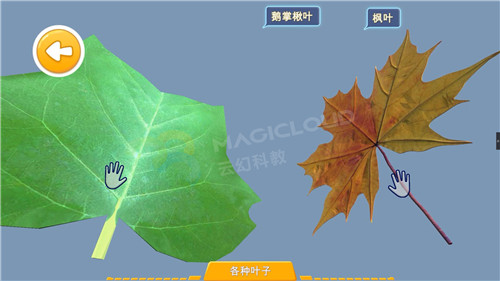 11_副本.jpg